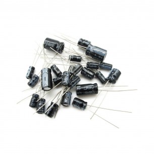 Electrolytic Capacitor 