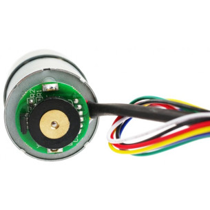 12V DC Motor 251rpm w/Encoder