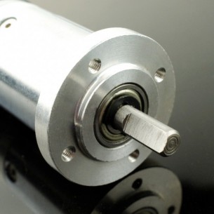 12V silent DC Motor 146RPM w/Encoder 